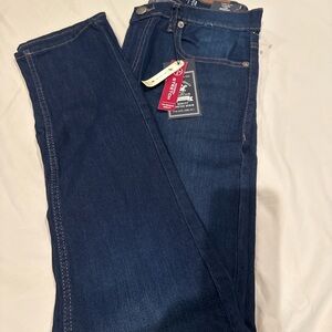 Hudson Jeans Blue Skinny Denim
